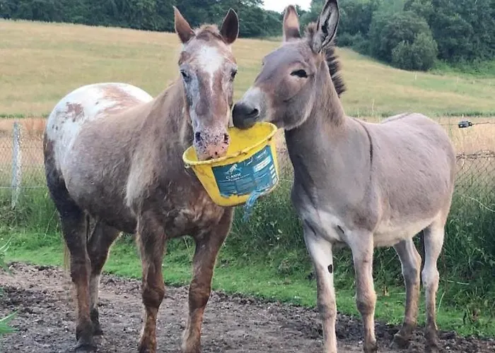 Holiday home Gite O Pre